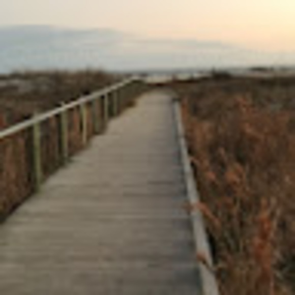 taradesp022